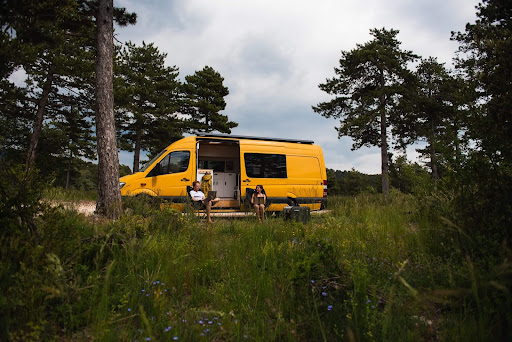 vanlifer in nature