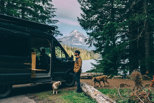 vanlifer with dog