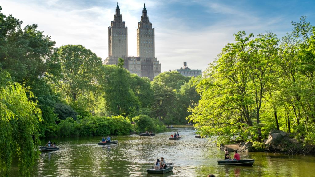 beautiful view of a lake in central park